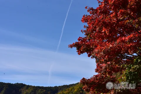 DSC_3232.JPG