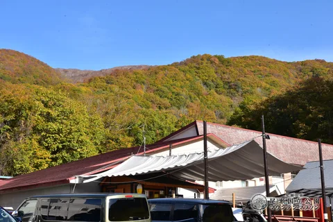 DSC_3253.JPG