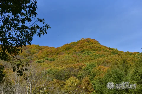 DSC_4489.JPG