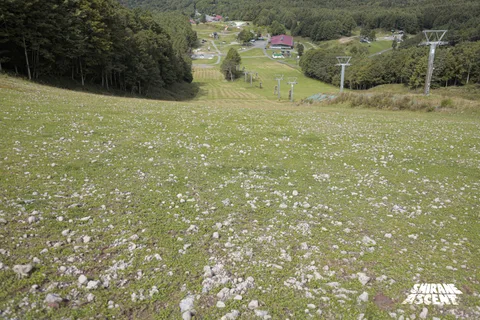 20shirane002.jpg