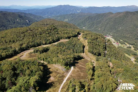 DJI_0204.jpg