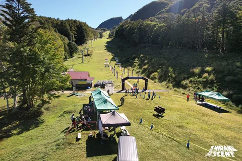 DJI_0195.jpg