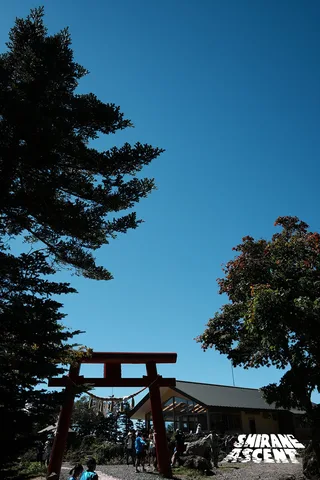DSC03487.jpg