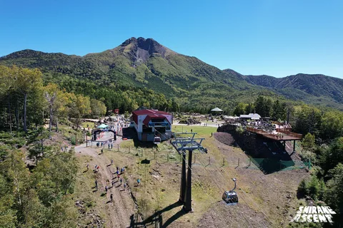 DJI_0250.jpg