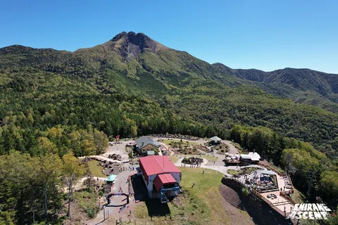 DJI_0221.jpg