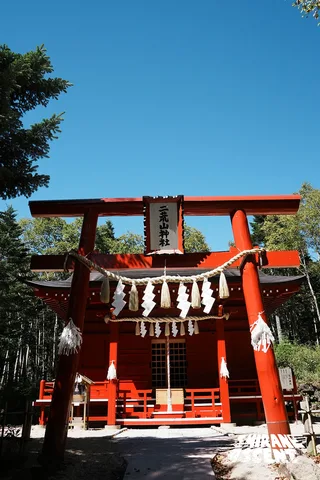 DSC03482.jpg