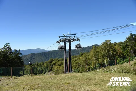 DSC_1941.jpg