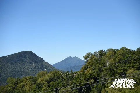 DSC_1943.jpg