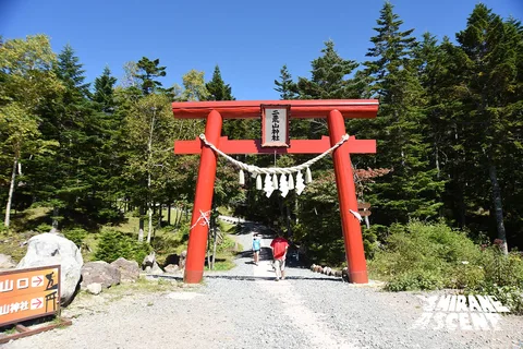DSC_1931.jpg