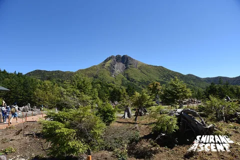 DSC_1939.jpg