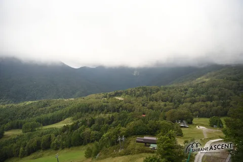 DSC_8455.jpg