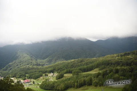 DSC_8457.jpg