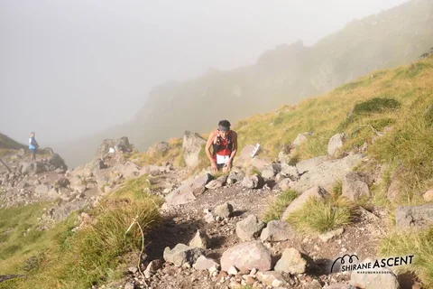 DSC_7284.jpg