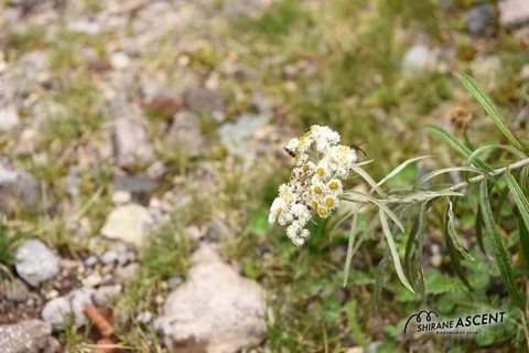DSC_8145.jpg