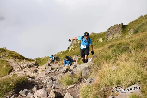 DSC_7393.jpg