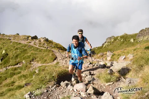 DSC_7406.jpg