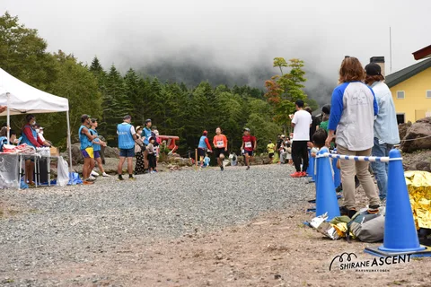 DSC_8236.jpg
