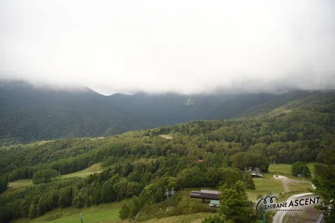 DSC_8456.jpg