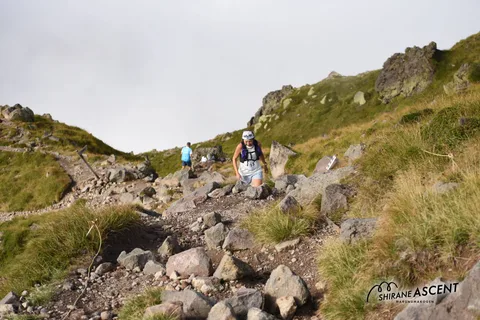 DSC_7380.jpg