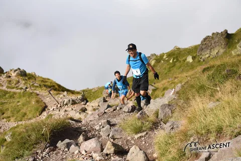 DSC_7394.jpg