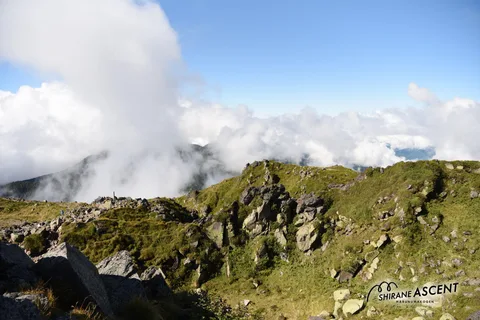 DSC_7448.jpg