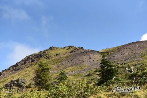 DSC_7454.jpg