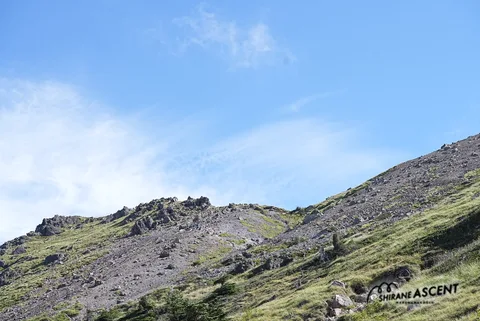 DSC08745.jpg