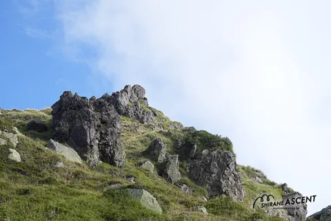 DSC08129.jpg