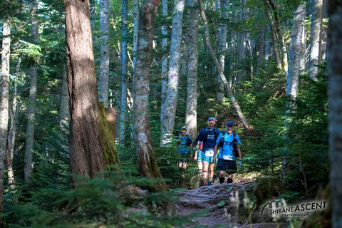 20230903-shirane-ascent-47_53166558490_o.jpg