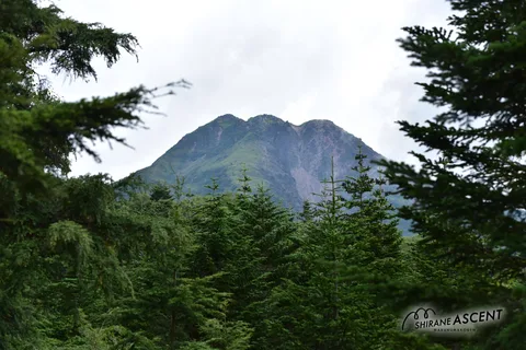 DSC_6079.jpg
