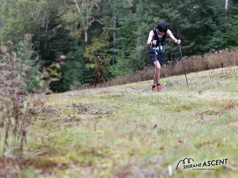 IMG_0883.jpg