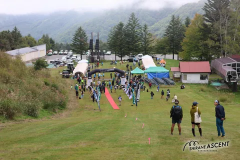 IMG_1129.jpg