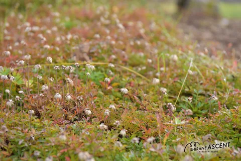 DSC_8750.jpg