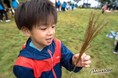 20240929 白嶺アセント-371.jpg