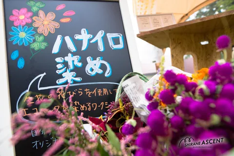 20240929 白嶺アセント-130.jpg