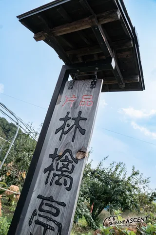 20240927-143609-DSC08281.jpg