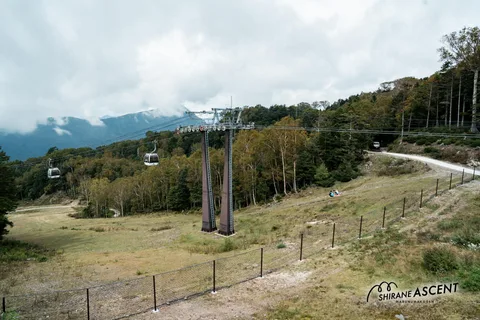20240928-120050-DSC08332.jpg