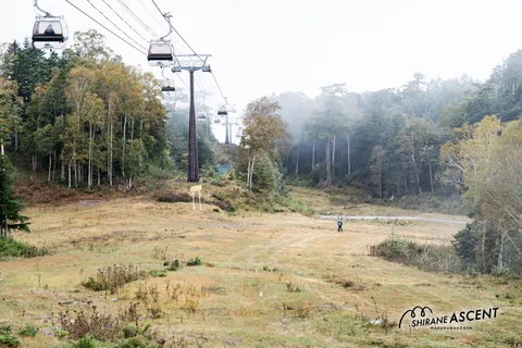 20240929-074750-DSC05423.jpg