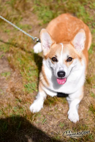 DSC_6772_e.JPG