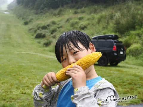 _9062804_e.jpg